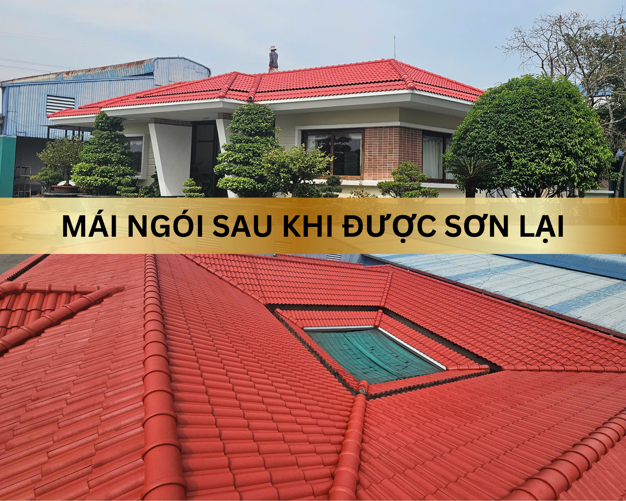 mái ngói sau khi sơn